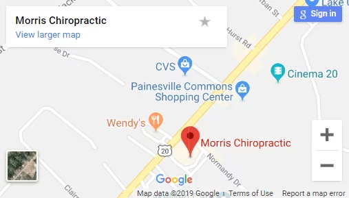 Map of Painesville Chiropractors